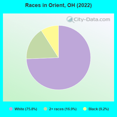 Races in Orient, OH (2019)