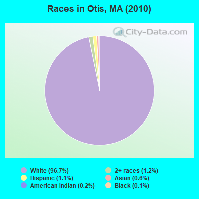 Races in Otis, MA (2010)