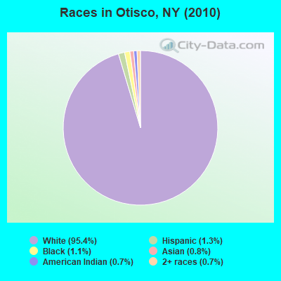Races in Otisco, NY (2010)