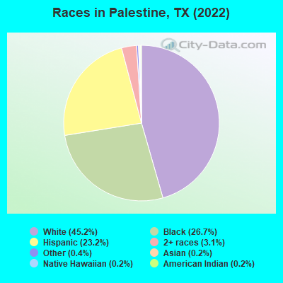 Races in Palestine, TX (2022)