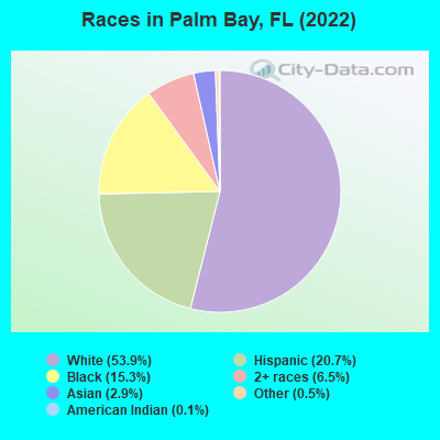 Races in Palm Bay, FL (2022)