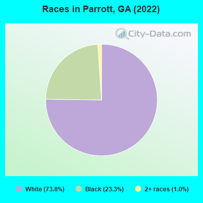 Races in Parrott, GA (2022)