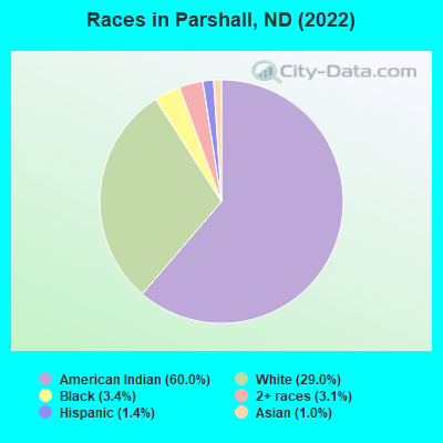 Races in Parshall, ND (2022)