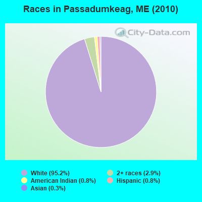 Races in Passadumkeag, ME (2010)