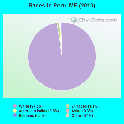 Races in Peru, ME (2010)