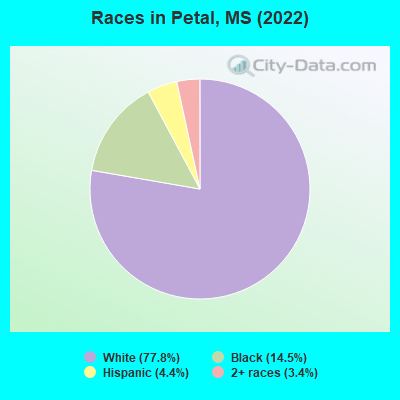 Races in Petal, MS (2019)