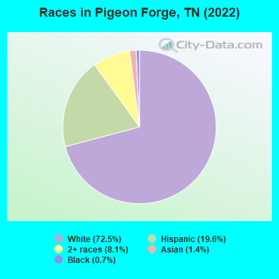 Races in Pigeon Forge, TN (2019)