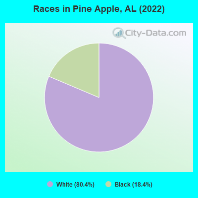 Races in Pine Apple, AL (2022)