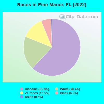 Races in Pine Manor, FL (2022)