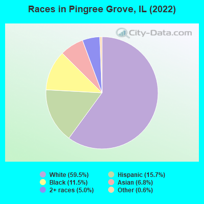 Races in Pingree Grove, IL (2019)