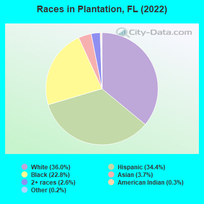 Races in Plantation, FL (2019)