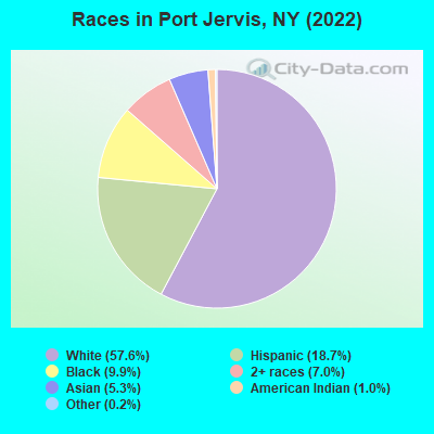 port jervis ny demographics