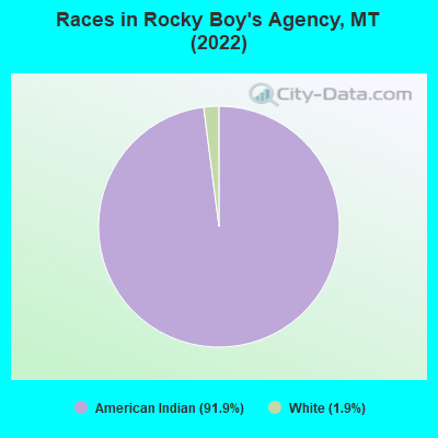 Races in Rocky Boy's Agency, MT (2022)