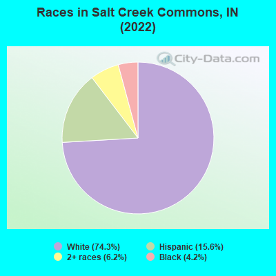 Races in Salt Creek Commons, IN (2022)