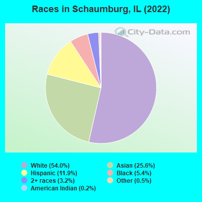 Races in Schaumburg, IL (2022)