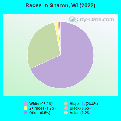 Races in Sharon, WI (2019)