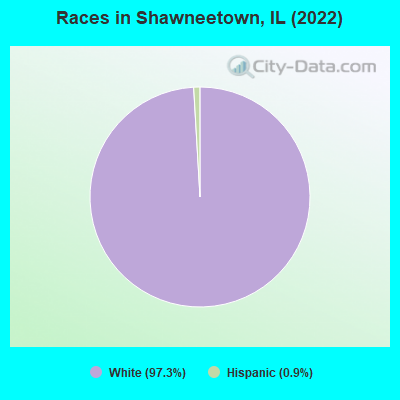 Races in Shawneetown, IL (2022)