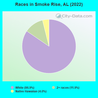 Races in Smoke Rise, AL (2021)