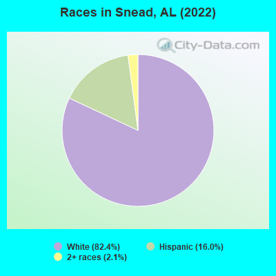 Races in Snead, AL (2022)