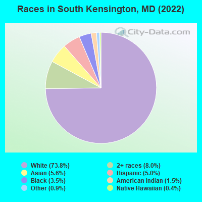 Races in South Kensington, MD (2019)