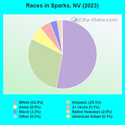 sparks nevada business license search