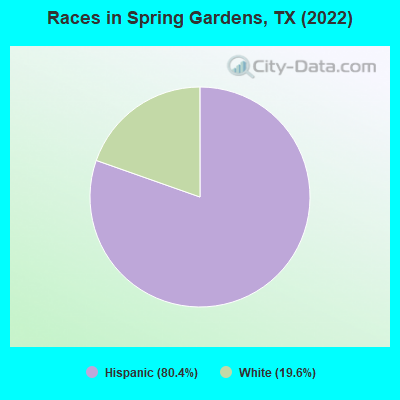 Races in Spring Gardens, TX (2022)