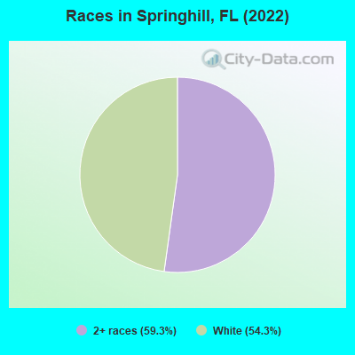 Races in Springhill, FL (2022)