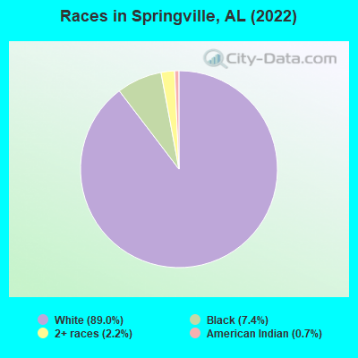 Races in Springville, AL (2022)