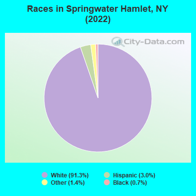 Races in Springwater Hamlet, NY (2022)