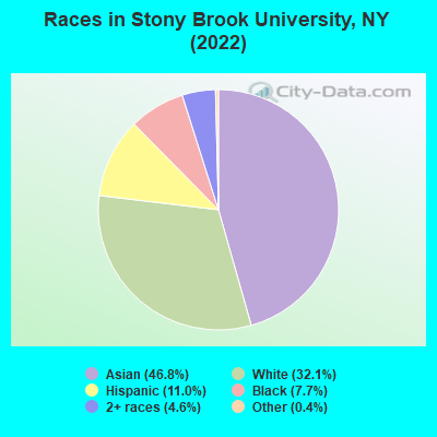 Races in Stony Brook University, NY (2019)