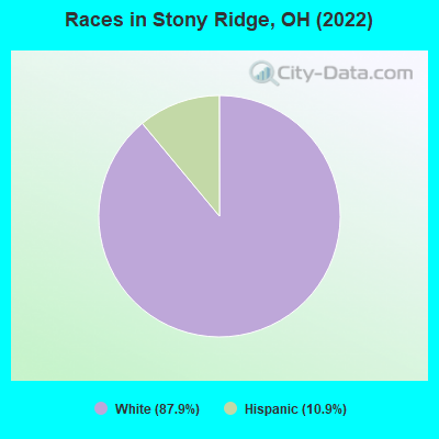 Races in Stony Ridge, OH (2022)