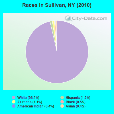 Races in Sullivan, NY (2010)