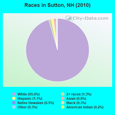 Races in Sutton, NH (2010)
