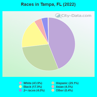 Races in Tampa, FL (2019)