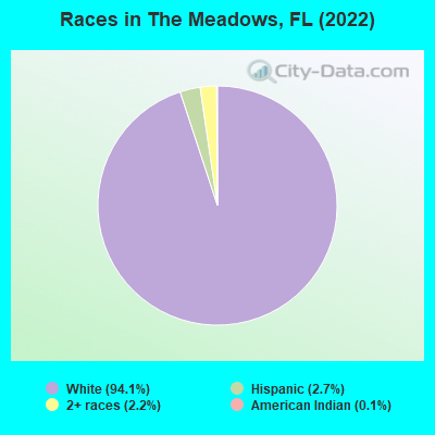 Races in The Meadows, FL (2022)