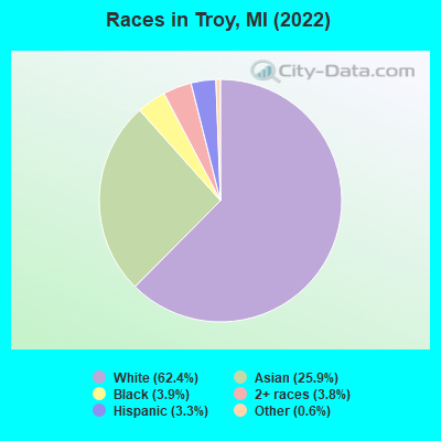 Races in Troy, MI (2021)