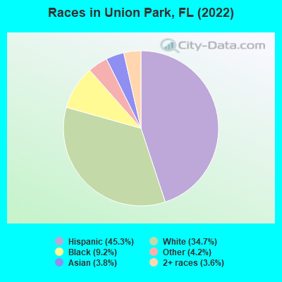 Races in Union Park, FL (2019)