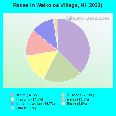 Races in Waikoloa Village, HI (2022)