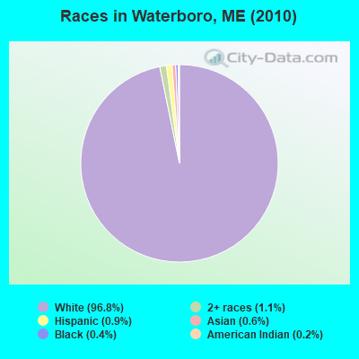 Races in Waterboro, ME (2010)
