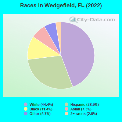 Races in Wedgefield, FL (2022)