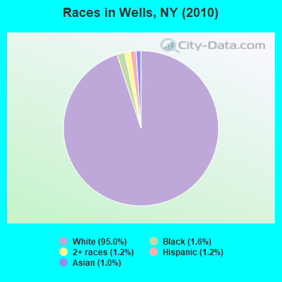 Races in Wells, NY (2010)