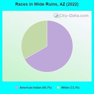 Races in Wide Ruins, AZ (2022)