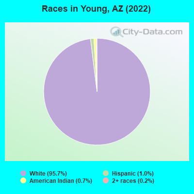 Races in Young, AZ (2021)
