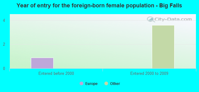 Year of entry for the foreign-born female population - Big Falls