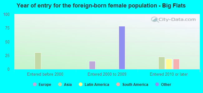 Year of entry for the foreign-born female population - Big Flats