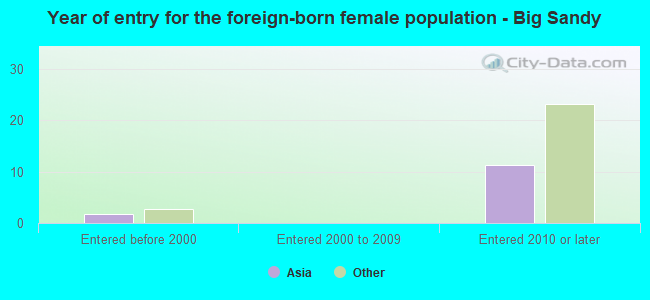 Year of entry for the foreign-born female population - Big Sandy