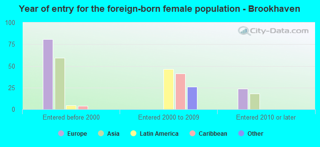 Year of entry for the foreign-born female population - Brookhaven