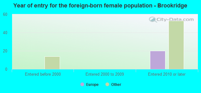 Year of entry for the foreign-born female population - Brookridge
