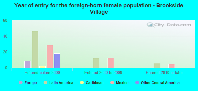 Year of entry for the foreign-born female population - Brookside Village