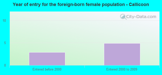 Year of entry for the foreign-born female population - Callicoon